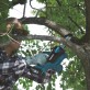 Makita DUC122Z akumulatora ķēdes zāģis